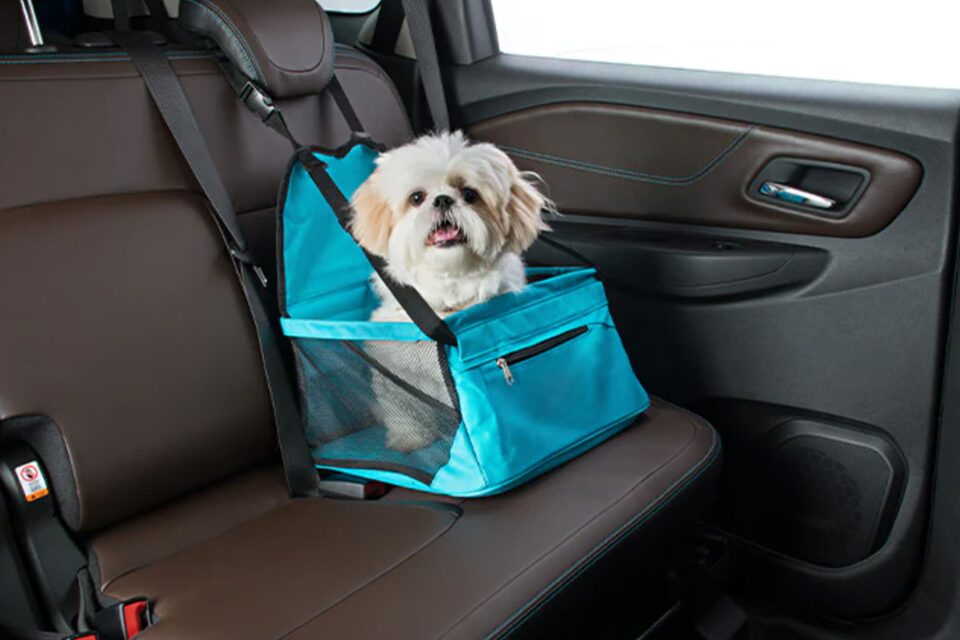 Trasporta tus mascotas en el asiento trasero de tu Chevrolet S10 Z71